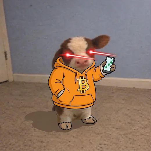 BitCow in a Bitcoin hoodie checking a chart on its phone